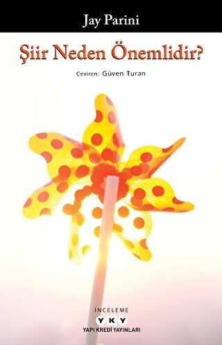�iir Neden �nemlidir?
