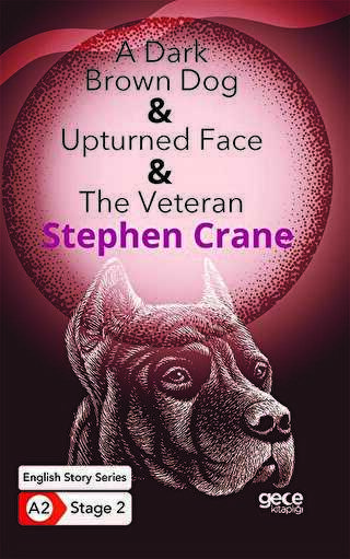 A Dark Brown Dog - Upturned Face - The Veteran - ngilizce Hikayeler A2 Stage 2