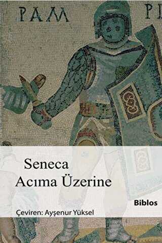 Acma zerine