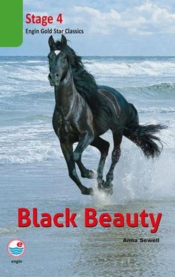 Black Beauty Cdsiz-Stage 4