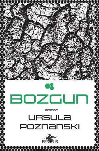 Bozgun