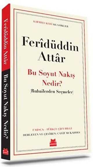 Bu Soyut Nak Nedir?