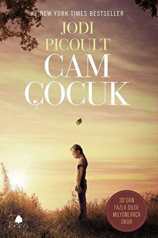 Cam ocuk