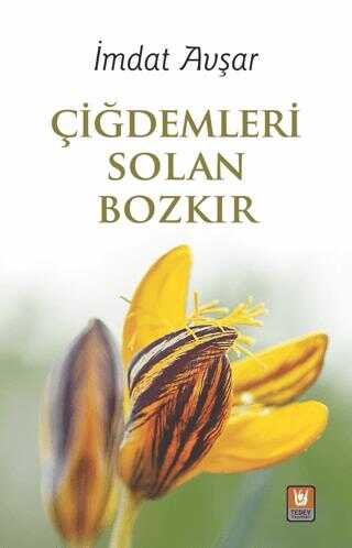 idemleri Solan Bozkr