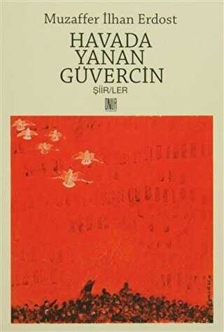 Havada Yanan G�vercin