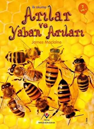 �lk Okuma - Ar�lar ve Yaban Ar�lar�