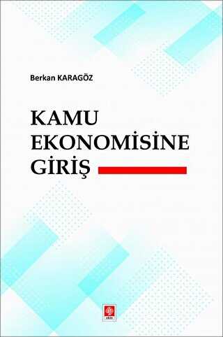 Kamu Ekonomisine Giri�