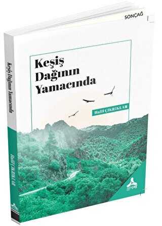 Ke�i� Da��n�n Yamac�nda