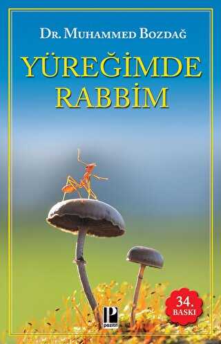 Yreimde Rabbim