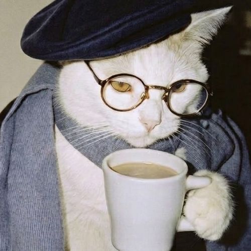 mistik_kullanıcı